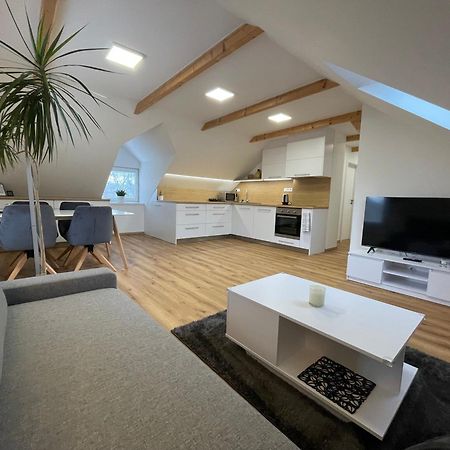 Apartman Svetla パルドゥビツェ エクステリア 写真